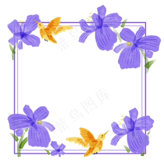 春夏紫鸢花方形橘黄色蜂鸟贺卡边,免抠元素