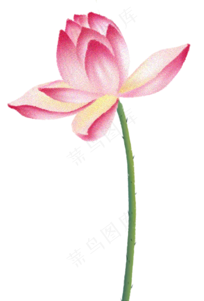 荷花图案(1358X2000(DPI:300))psd模版下载