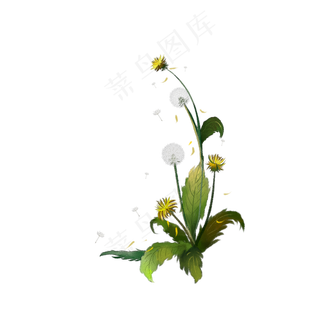 花卉植物边框可商用元素