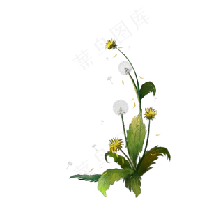 花卉植物边框可商用元素