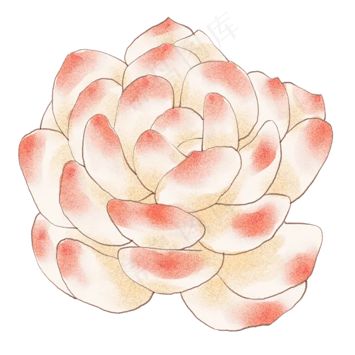 多肉植物处暑(2000X2000(DPI:72))psd模版下载