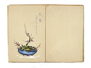 2020中国风和风盆景二十四节气大�,免抠元素