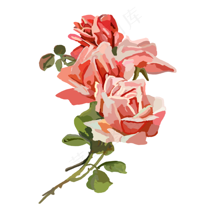 手绘玫瑰花