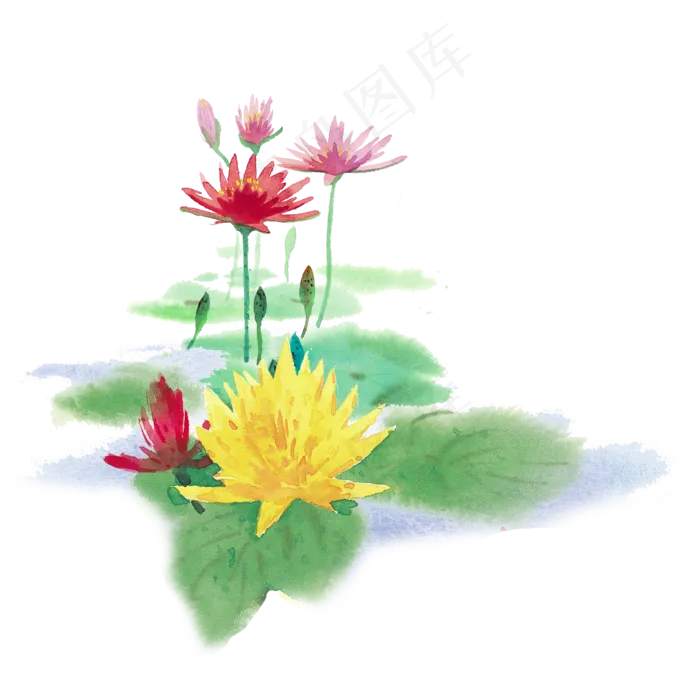 美丽夏日水彩荷花莲花(2500X2500(DPI:300))psd模版下载