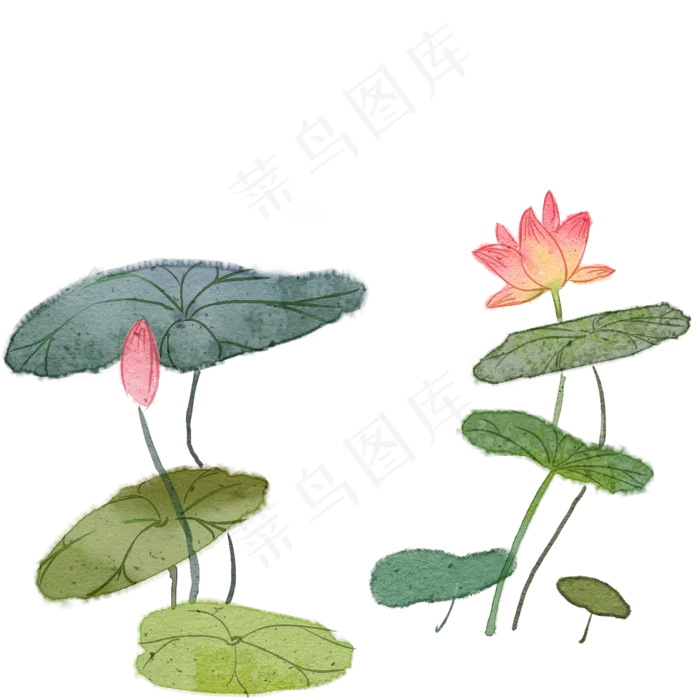 手绘元宵节荷花系列(2000X2000(DPI:299))psd模版下载