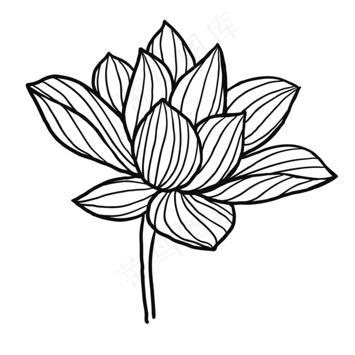 手绘荷花花朵装饰素材设计(2000X2000(DPI:300))psd模版下载