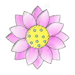 红色的荷花免抠图