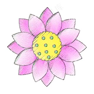 红色的荷花免抠图