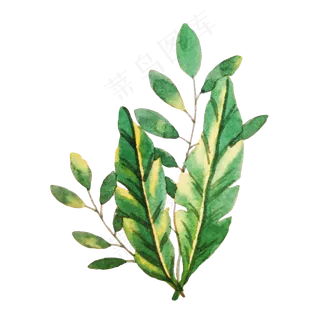绿色叶子植物绿植水彩