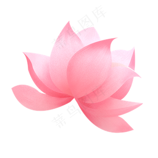 彩色荷花植物元素