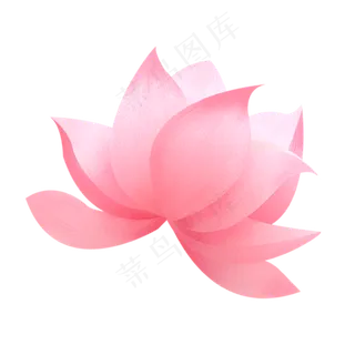 彩色荷花植物元素