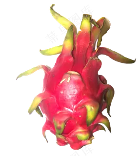 夏日水果火龙果