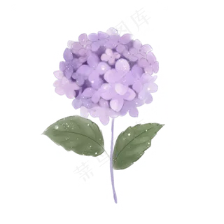 水彩紫色花枝