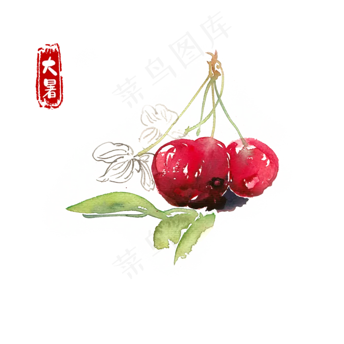 大暑红樱桃(4724X4724(DPI:300))psd模版下载