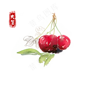 大暑红樱桃