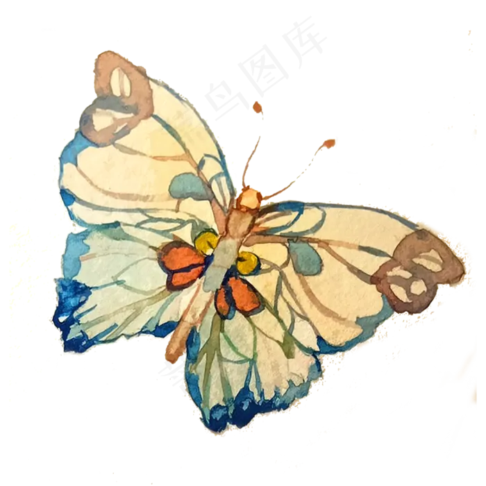 蝴蝶透明翅膀暖色昆虫唯美PNG,免抠元素(3000X3000(DPI:300))psd模版下载