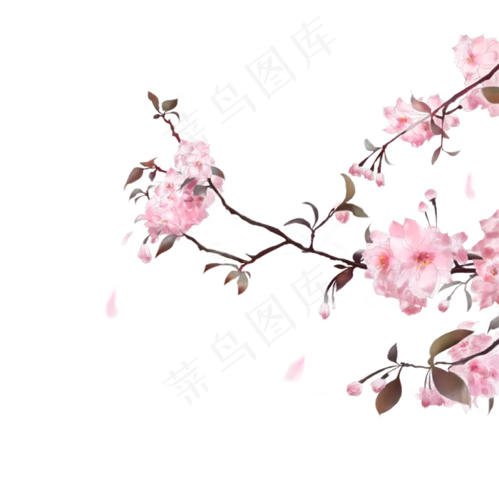 古风素材粉色樱花,免抠元素(2100X2100(DPI:300))psd模版下载