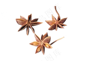 食材食物佐料八角花椒,免抠元素