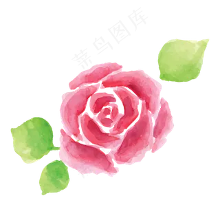 卡通红色的玫瑰花朵免抠图