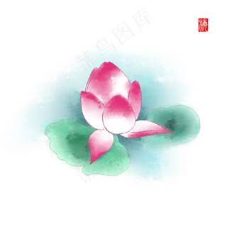 夏季彩绘古风荷花