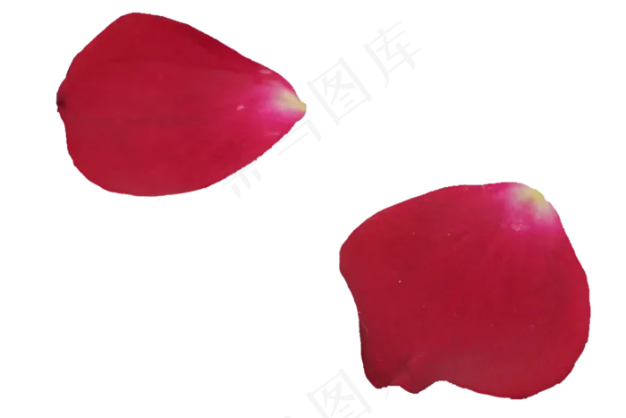 红色玫瑰花瓣(2000X2000(DPI:300))