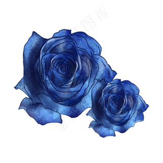 蓝玫瑰