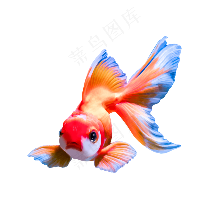 矢量水彩风金鱼锦鲤(4000*4000px 300 dpi )ai矢量模版下载
