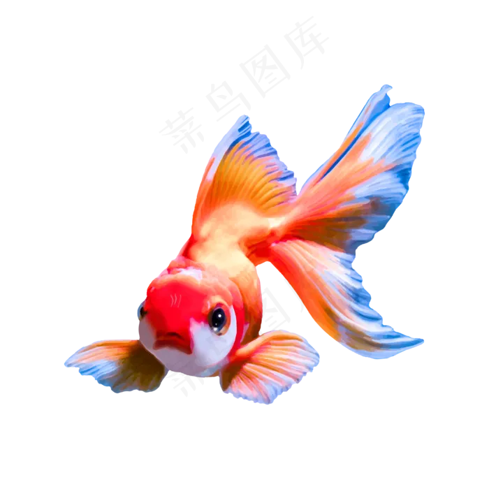 矢量水彩风金鱼锦鲤(4000*4000px 300 dpi )ai矢量模版下载