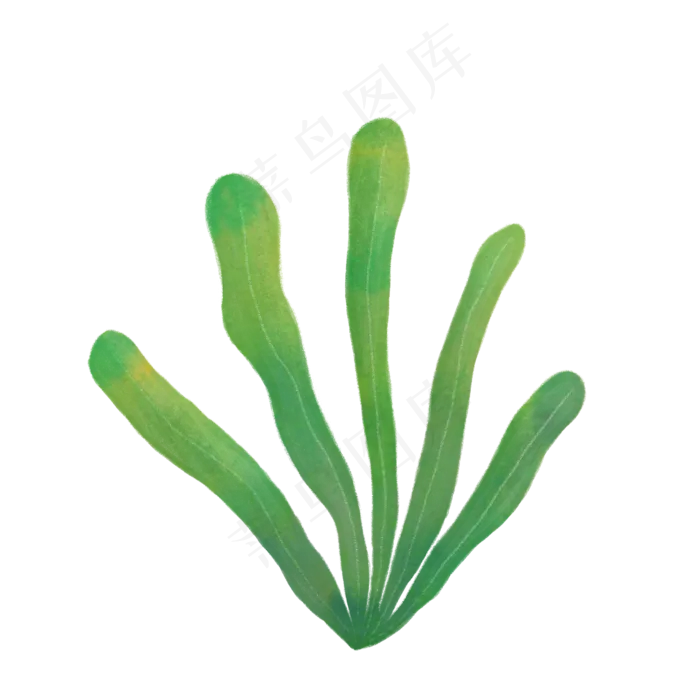 手绘绿色叶子植物绿叶花草