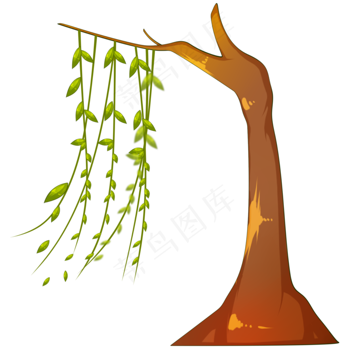 清明节柳树柳条