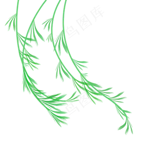 浅绿色文艺清新清明节柳条