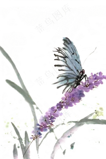 蝴蝶紫色花卉水墨画PNG免抠素材 蝴蝶紫色花卉水墨画PNG免抠素材
