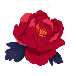 中秋节玫红色牡丹花,免抠元素