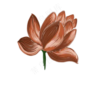 荷花免抠创意插图