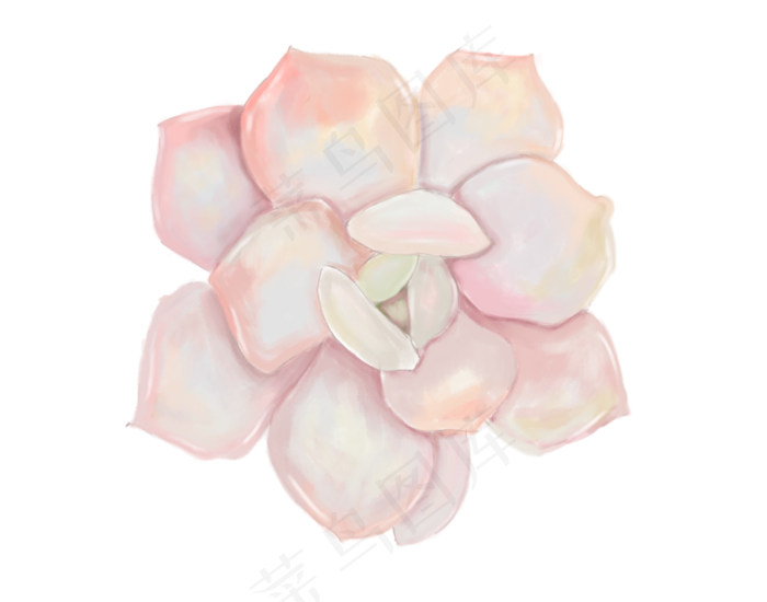 小清新多肉植物绿色植物景天科宝