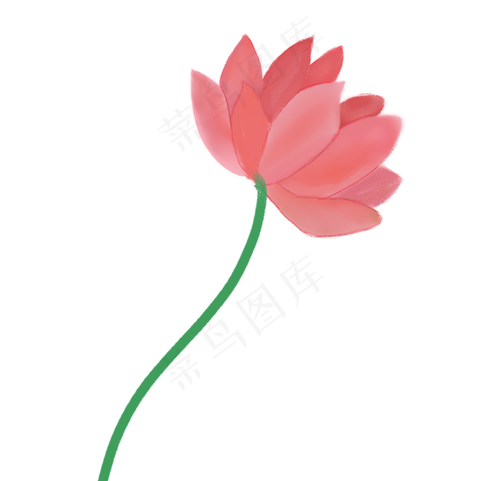 彩色植物花朵元素(2000X2000(DPI:300))psd模版下载
