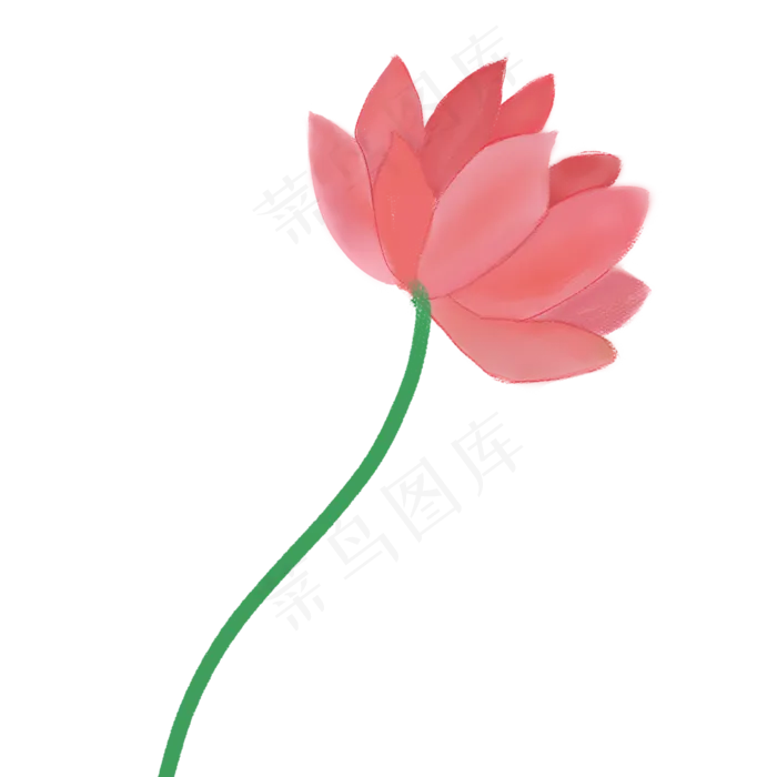 彩色植物花朵元素(2000X2000(DPI:300))psd模版下载