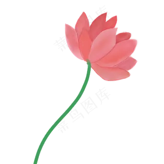 彩色植物花朵元素