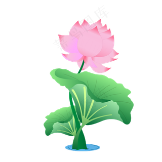 手绘卡通粉色莲花