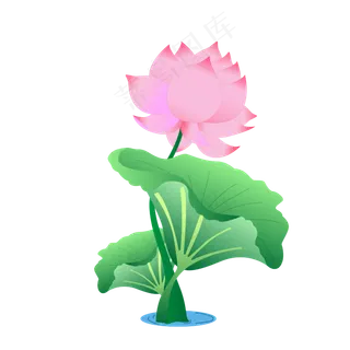 手绘卡通粉色莲花