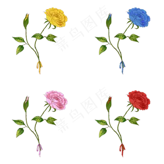 玫瑰花苞浪漫png