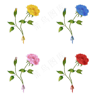 玫瑰花苞浪漫png