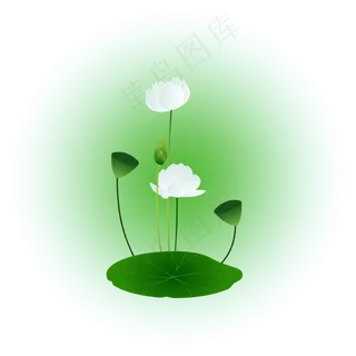 夏日荷花清新精美