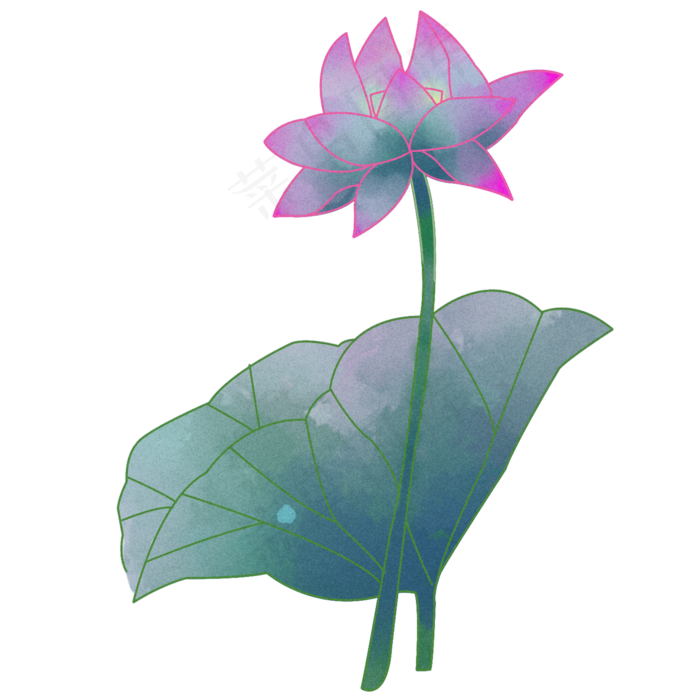 2019年夜间水墨水彩荷花荷叶