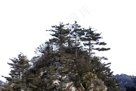 高耸入云陡峭的大山 高耸入云陡峭的大山