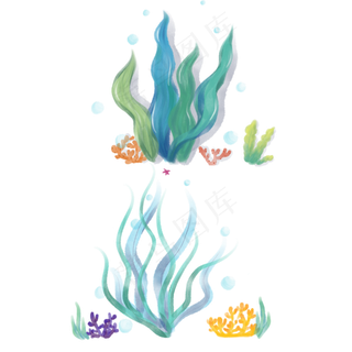水彩海藻