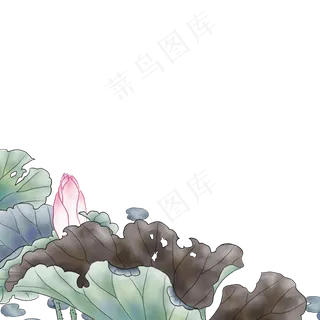 绿色的荷叶免抠图