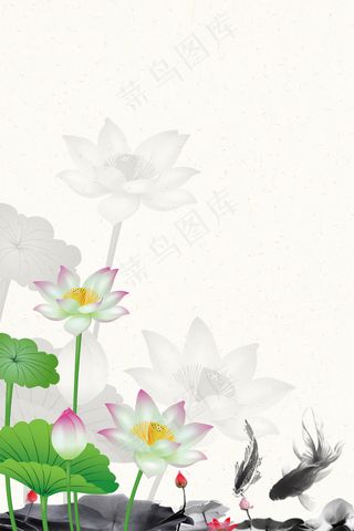 中国风碧叶荷花图