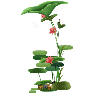 唯美夏季夏日荷花