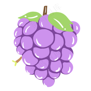一串紫色葡萄插图